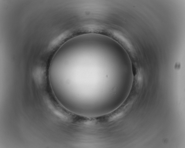 X0000092290306200709141305