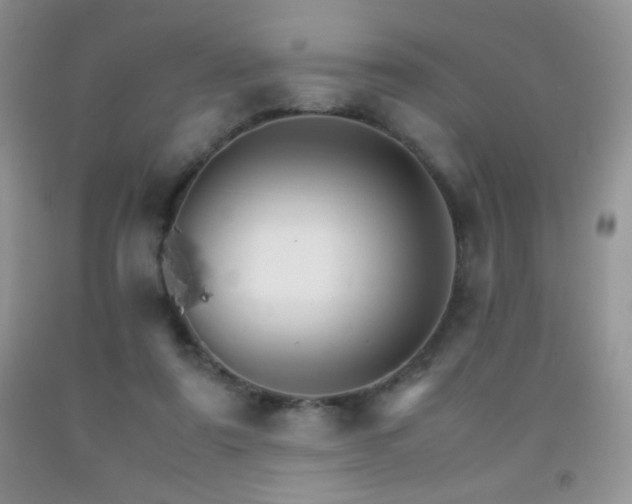 X0000092290307200709141305