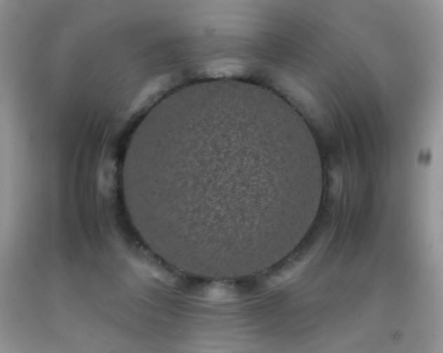 X0000092290308200709141305