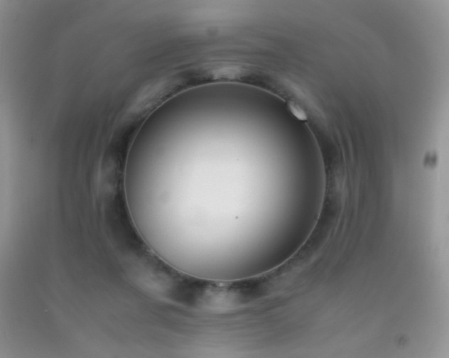 X0000092290311200709141304