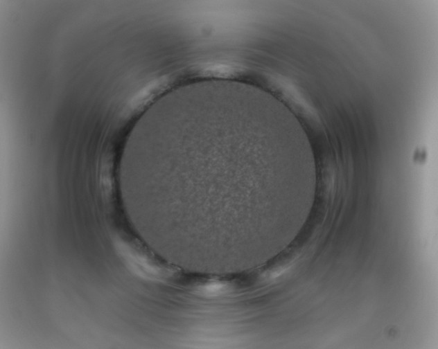 X0000092290312200709141304