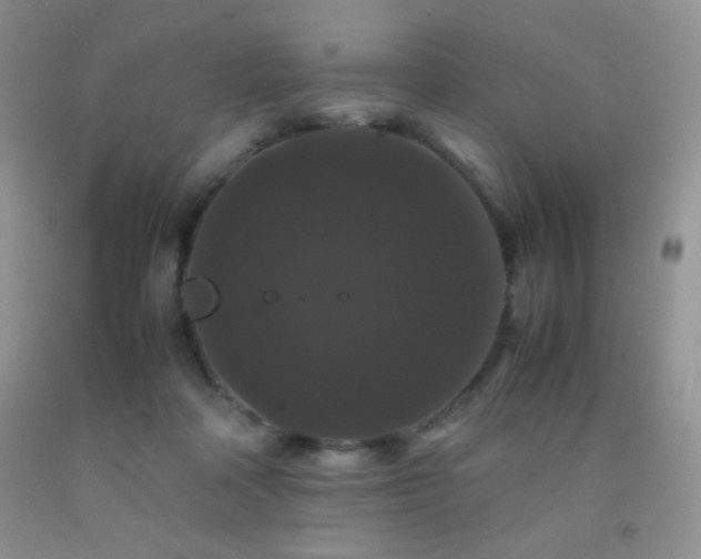 X0000092290314200709141304