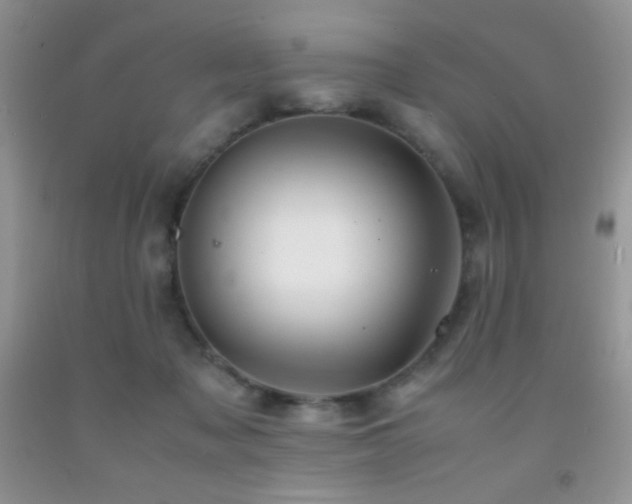 X0000092290317200709141304