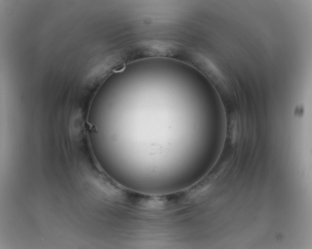 X0000092290318200709141304