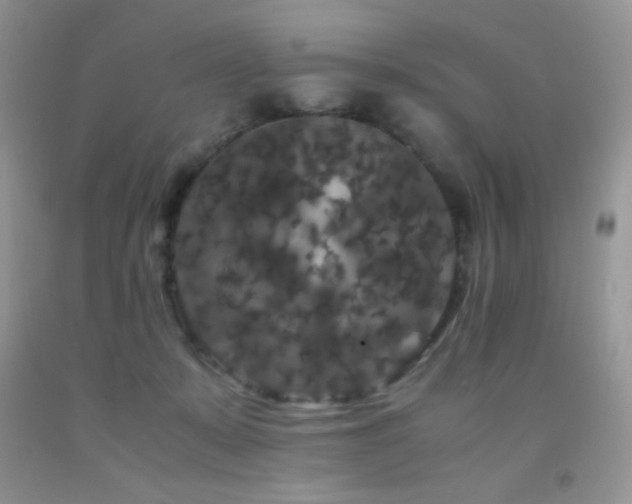 X0000092290319200709141304