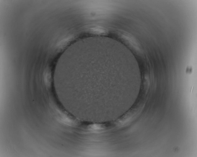 X0000092290320200709141304