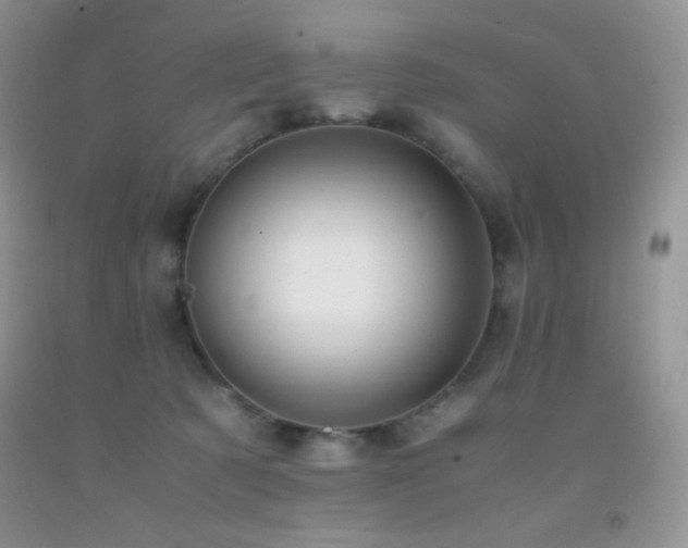 X0000092290321200709141304