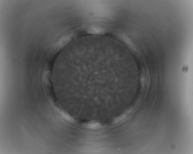 X0000092290322200709141304