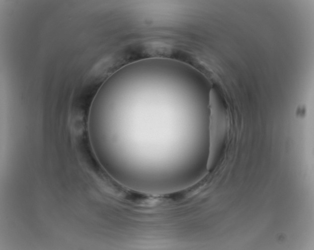 X0000092290323200709141304