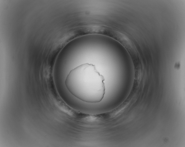 X0000092290326200709141304