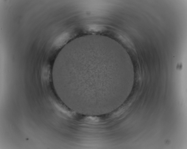 X0000092290328200709141304