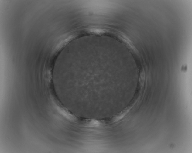 X0000092290330200709141304