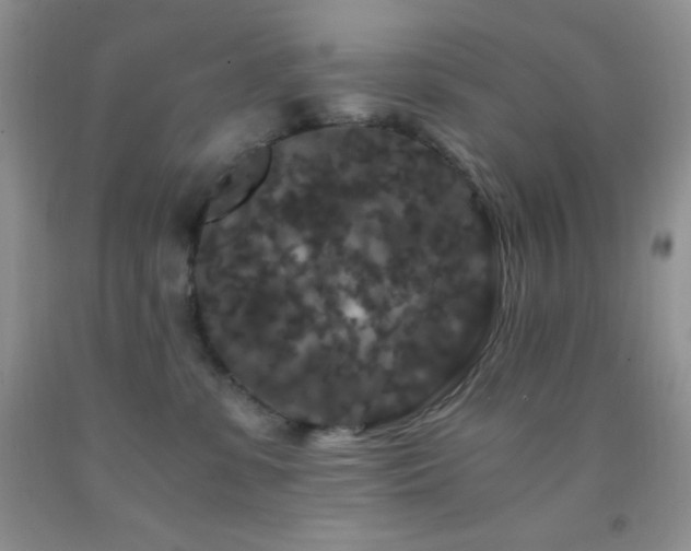 X0000092290331200709141304