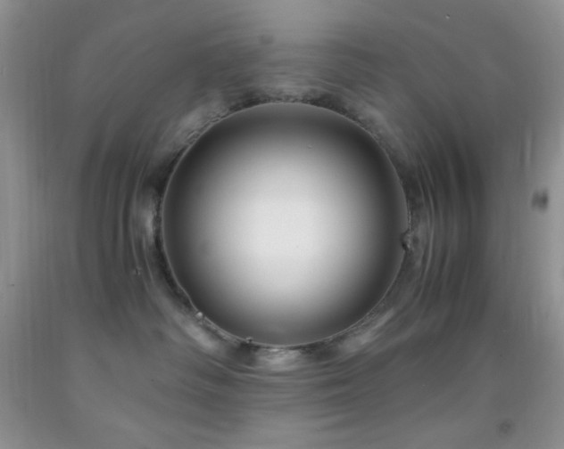 X0000092290334200709141304