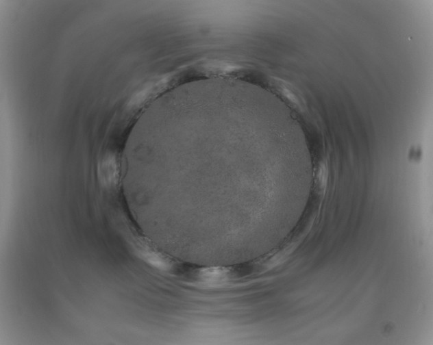 X0000092290335200709141304