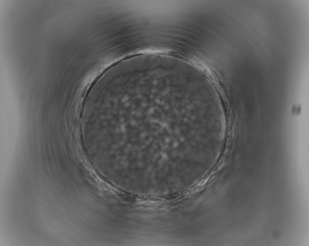 X0000092290337200709141304