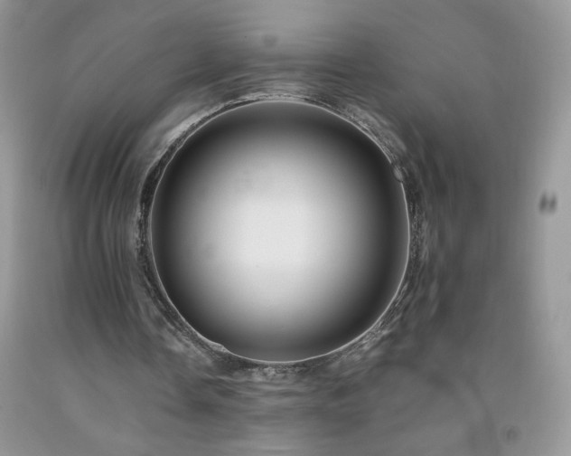 X0000092290338200709141304