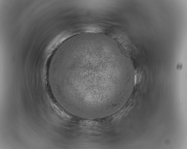 X0000092290339200709141304