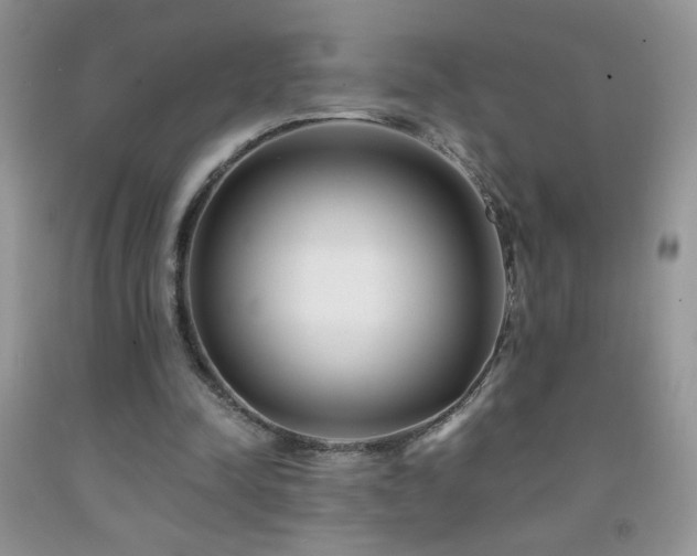 X0000092290342200709141304