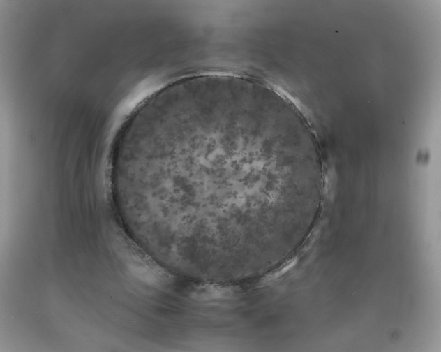 X0000092290343200709141304