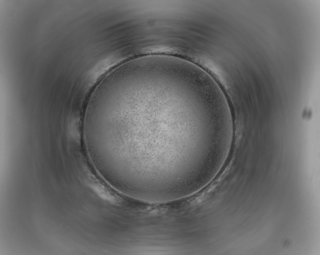 X0000092290345200709141304