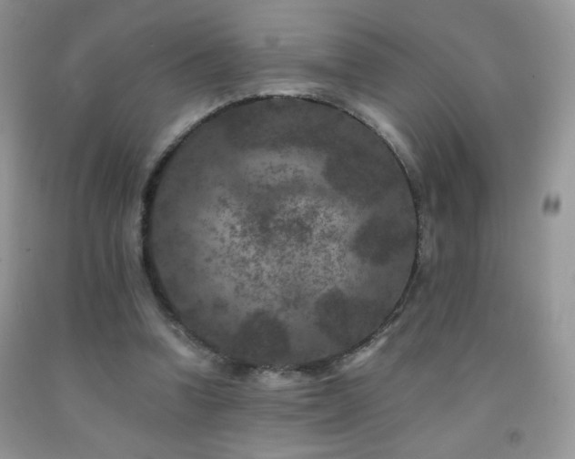 X0000092290346200709141304