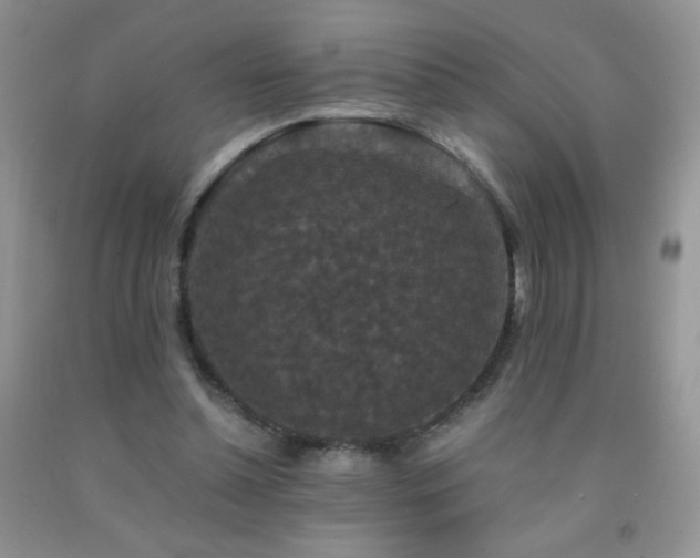 X0000092290348200709141304