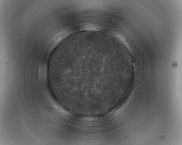 X0000092290349200709141304