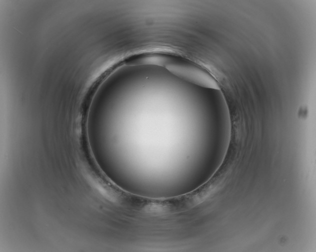 X0000092290350200709141304