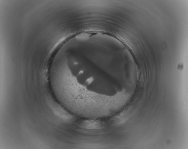 X0000092290351200709141304