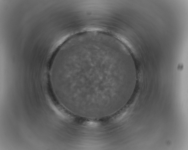 X0000092290352200709141304