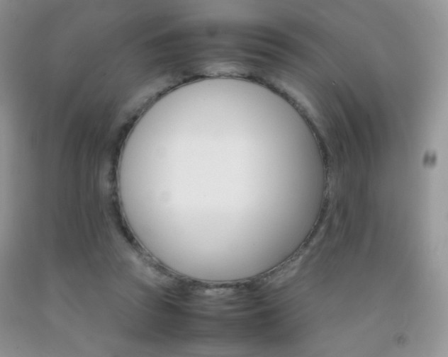 X0000092290353200709141304