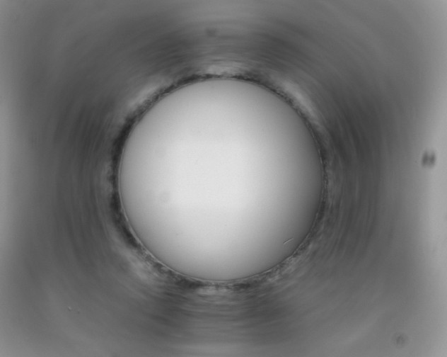 X0000092290354200709141304