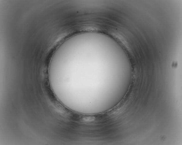 X0000092290355200709141304