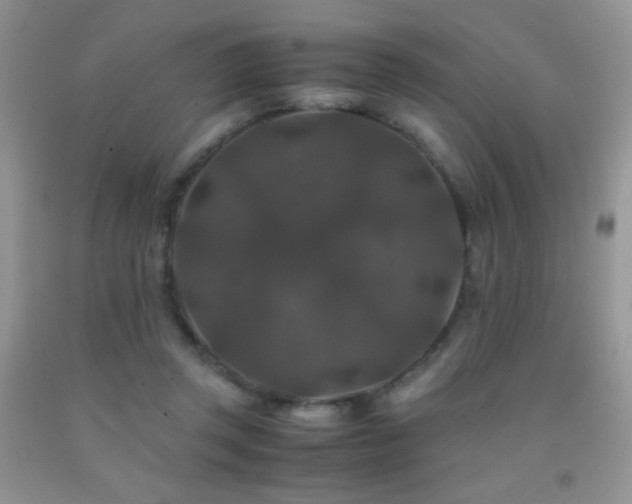 X0000092290357200709141304