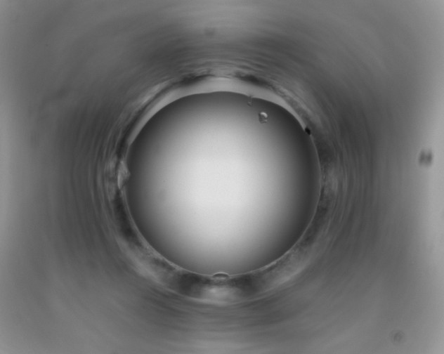 X0000092290360200709141304