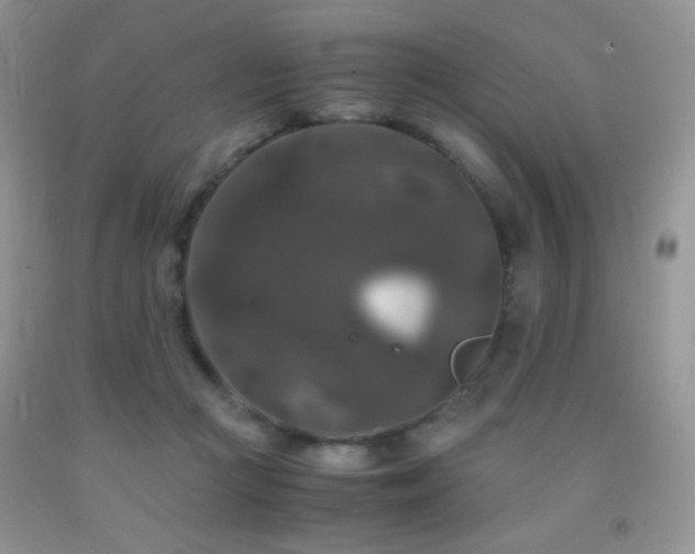 X0000092290361200709141304