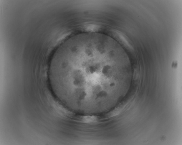 X0000092290363200709141304