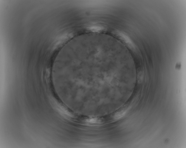 X0000092290365200709141304