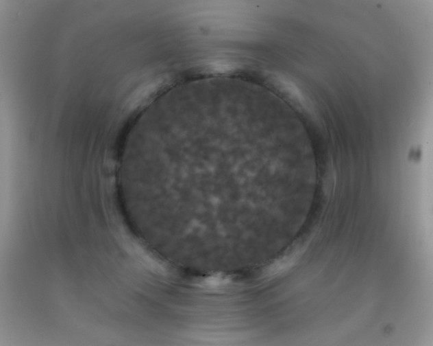 X0000092290366200709141304