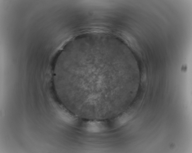 X0000092290367200709141304