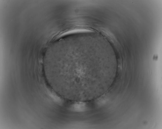 X0000092290369200709141304