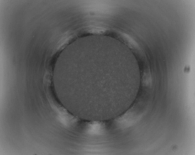 X0000092290370200709141304