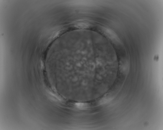 X0000092290371200709141304