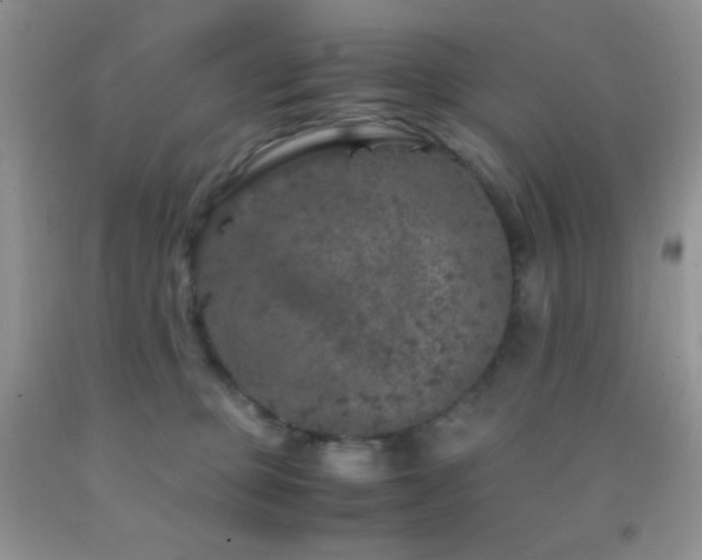 X0000092290373200709141304