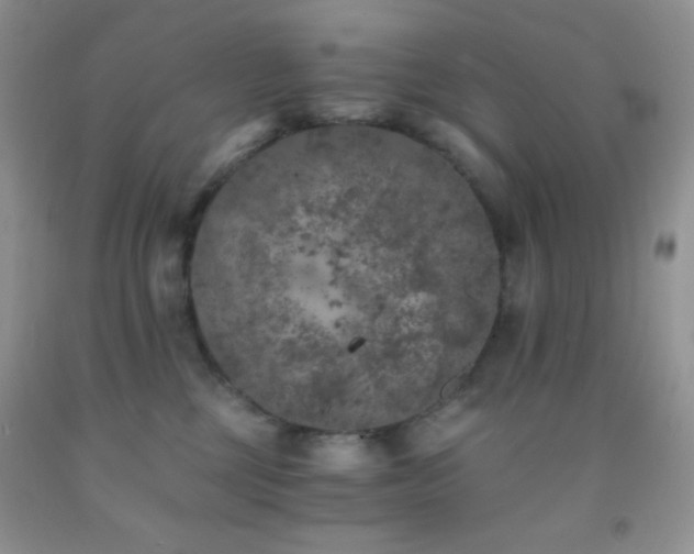 X0000092290377200709141304