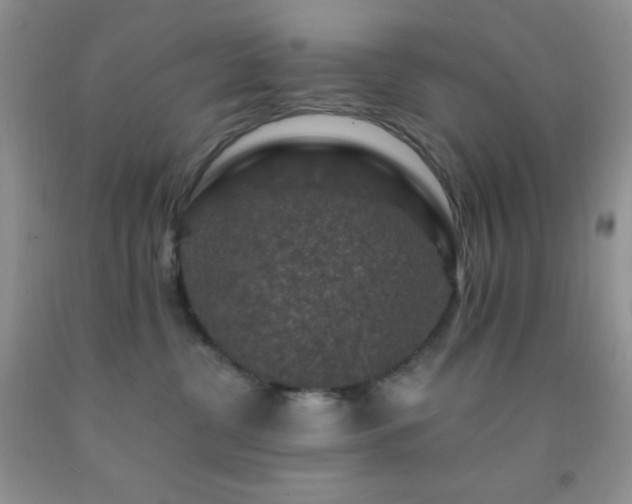 X0000092290380200709141304