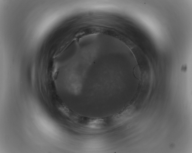 X0000092290382200709141304