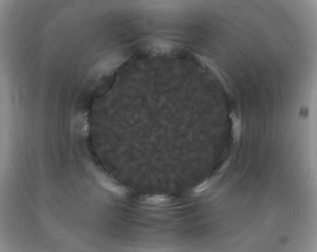 X0000092290383200709141304