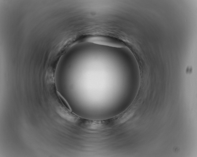 X0000092290384200709141304